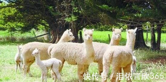 金手指|5本近期完结的精品小说，质量杠杠不套路，助你摆脱书荒困扰！