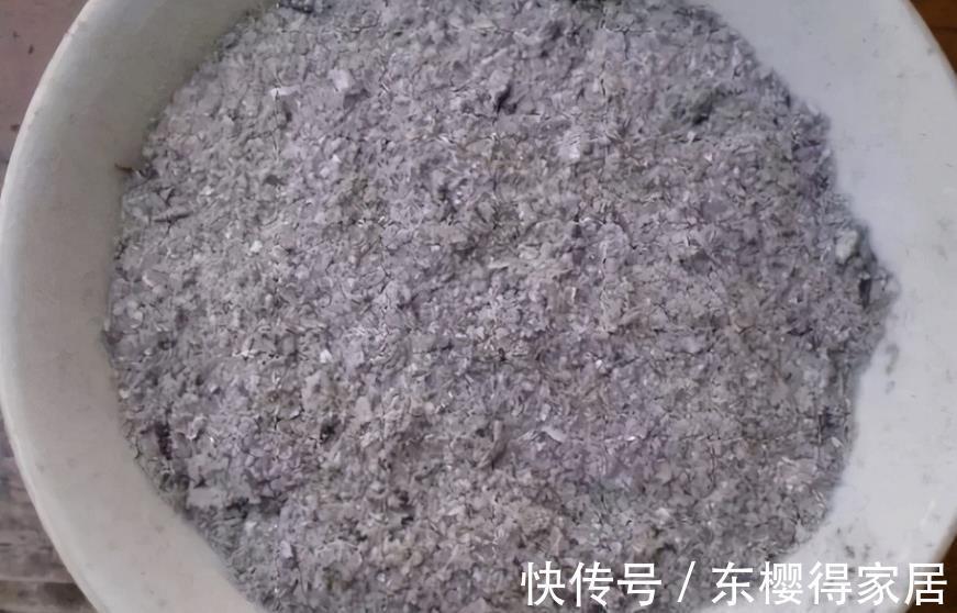养护|夏季兰花多发软腐病?不用困扰!用它就能马上搞定