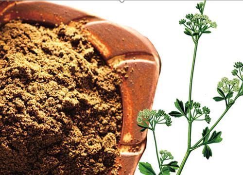 神南山|老人过了50岁,心率越慢越好?不瞒你说,心率在这个范围内才长寿