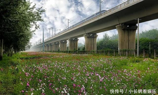  大地|「视觉」河东大地绽新颜 今朝盛景迷人眼