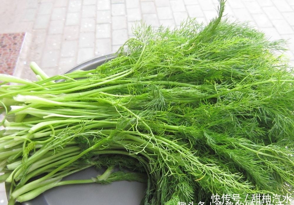 地里|提个醒:农村地里若遇见此野草,记得要采摘回家,作用非常大