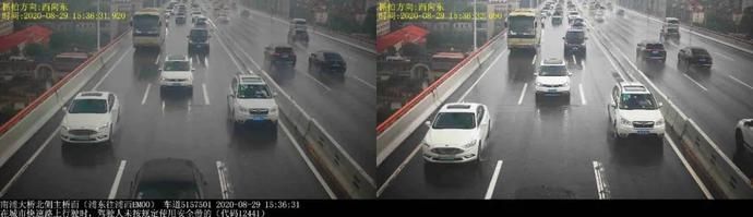 AMX517|沪AMX517司机高架不系安全带，记2分，罚100元！