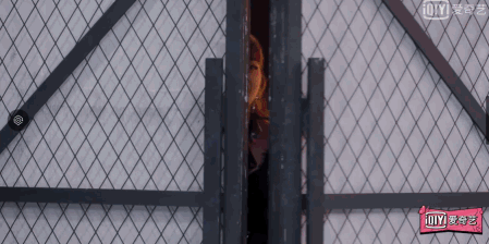 让韩红红了眼眶，音乐圈的竞技游戏，却道出自我升级的生存内核