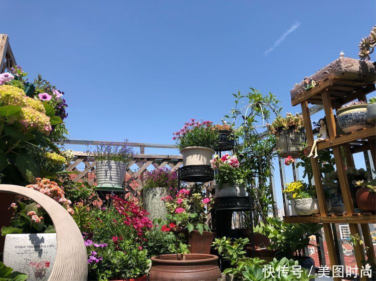 阳台|DIY改造17㎡屋顶花园，忙得不亦乐乎，在喧嚣城市打造一隅静谧