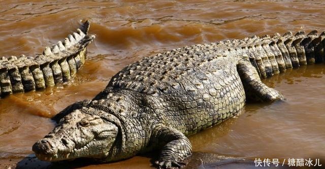 此人救过林冲和宋江,但梁山六次排座次,他排名从第4掉到第92名!