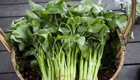 中年|肠胃不好,此菜是个宝,别舍不得买,吃一次等于给肠子洗澡