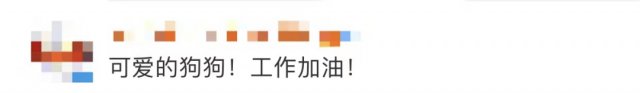国家反诈中心|扫码就能摸！