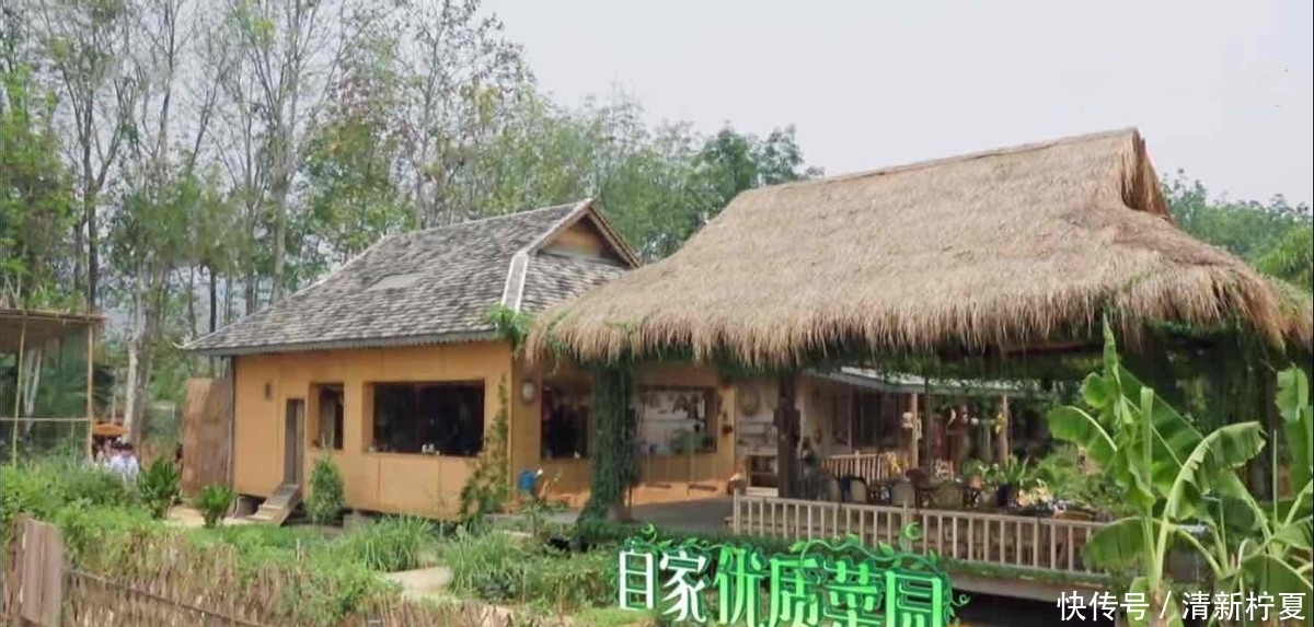 《向往的生活5》开始录制,新一季的蘑菇屋,还会和第四季一样吗