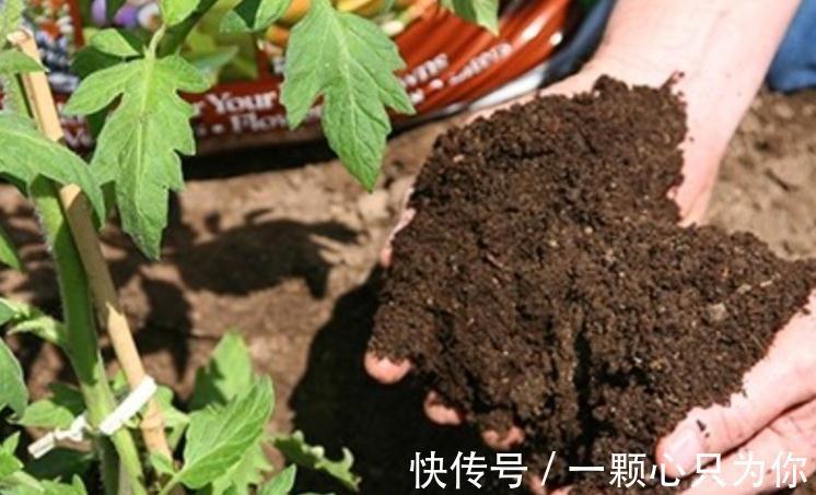 肥料小常识，对症下药别乱搞