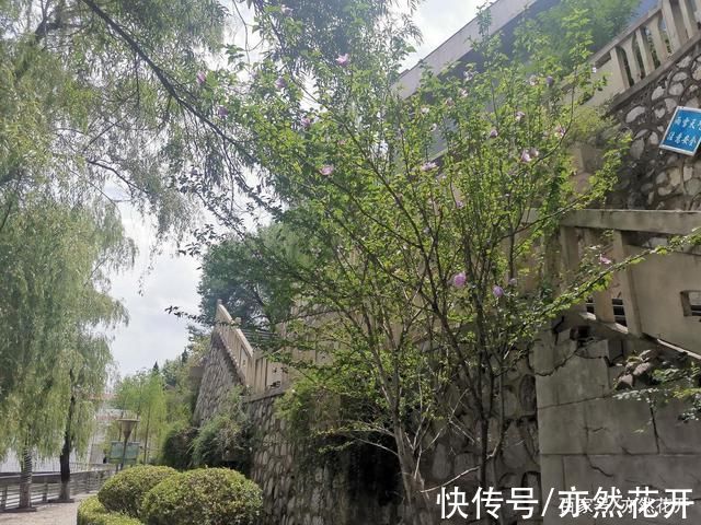 宝妈#写作疗愈:开启写作之旅，做自己的摆渡人