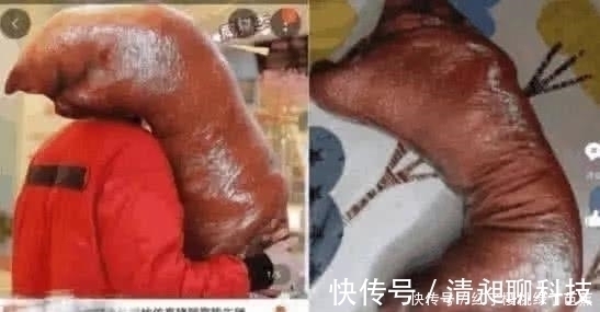 帐篷|外国一男子在网上买了一顶帐篷，晚上露营时气坏了！