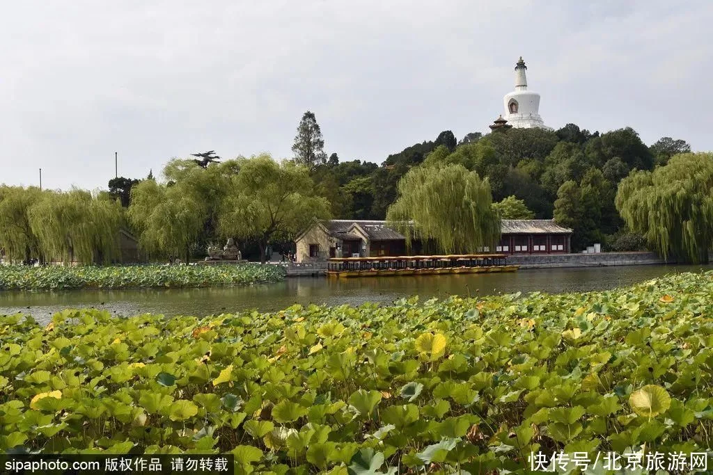 新鲜出炉（富丽堂皇）富丽堂皇皇是什么意思 第25张