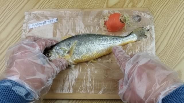 今天才知道，刮鱼鳞只需一个塑料袋，不飞溅不脏手，简单实用