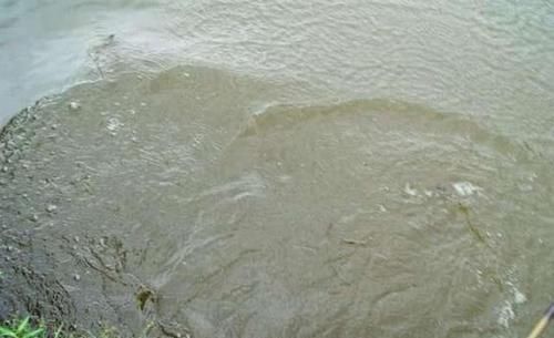 鳙鱼|手竿如何垂钓大头鱼,重点就是饵要轻雾化好,我从四个方面说明