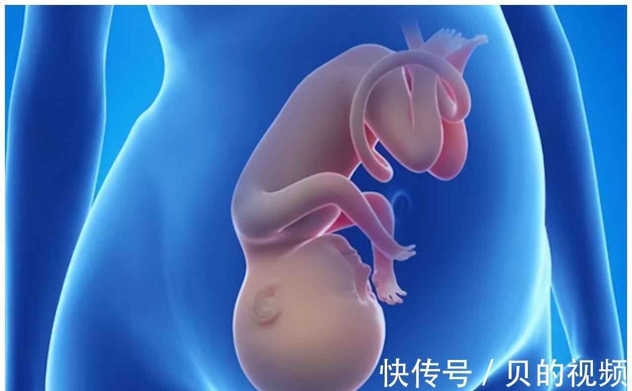 孕妇|到了这个孕周,胎儿“胎位”基本固定,以后再纠正就难了