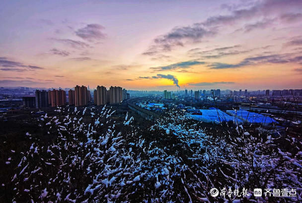 老年|大美!济南鲍山公园雪挂枝头,黄昏落日惊艳了初春