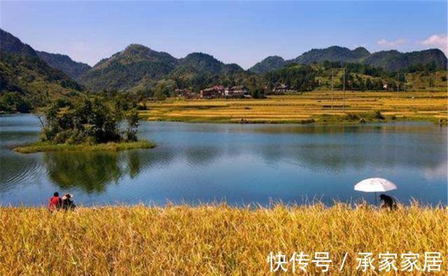 天气|秋季可以钓渊也可以钓边，但是钓边难度更大，套路得当方能爆护