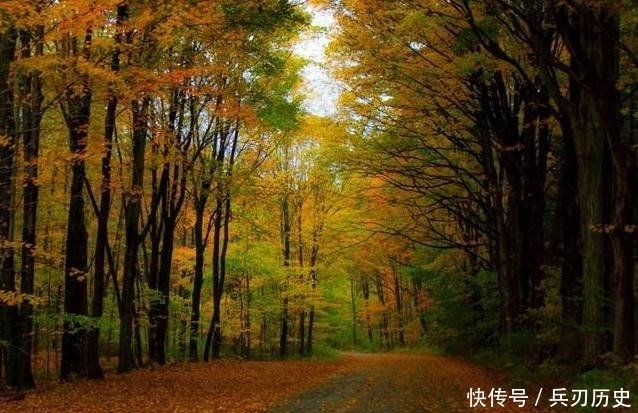 童话里的世界是个梦幻的地方,童话里的世界是个奇妙的地方!