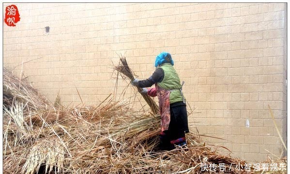 仙境|红河梯田，雾中箐口似仙境