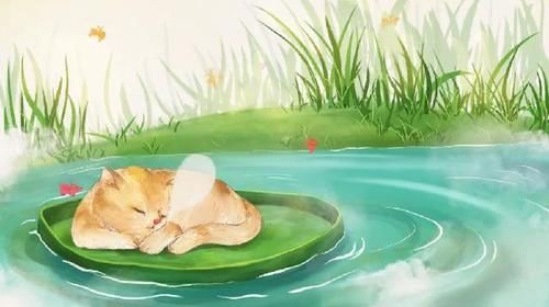 失眠|閱素靈：失眠者的逆襲：無論睡不睡得著，無需掛懷