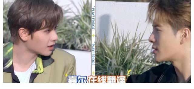 高卿尘|《拜托了冰箱》改版,缺点明显,赵丽颖、吴磊也挽救不了收视率