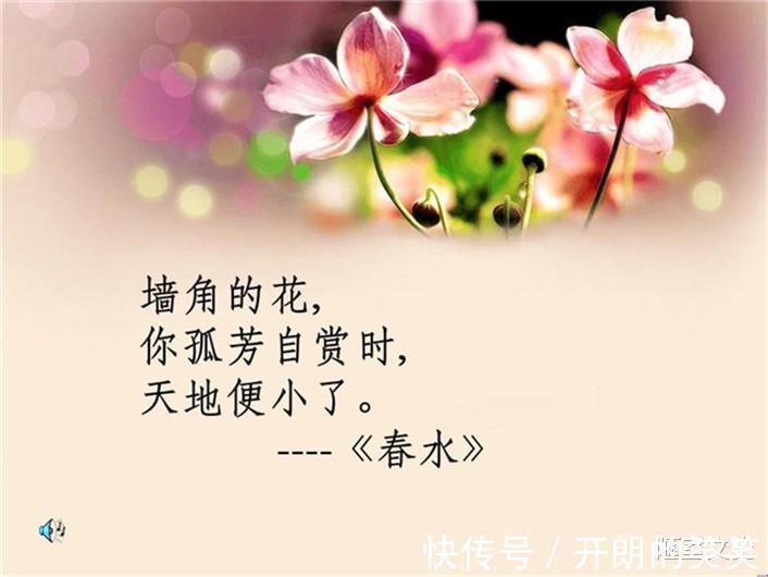 文学&被林徽因、张爱玲讽刺,鲁迅也瞧不起她,为何民国文人不喜欢冰心