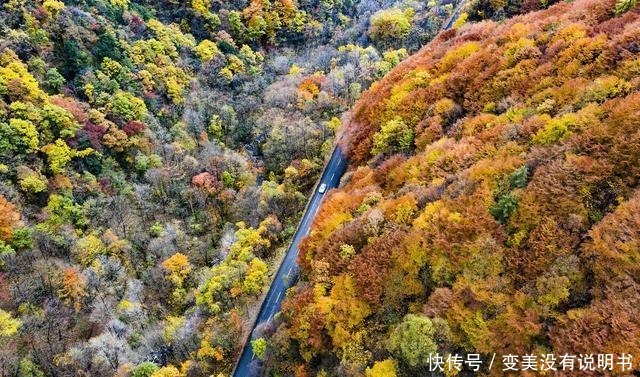 上榜|这个低调的宝藏小城比西安好吃！上榜最幸福城市！这里是宝鸡！