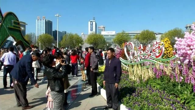 低薪|东莞“小蛮腰”刷屏朋友圈！牛年这些景点很“红”