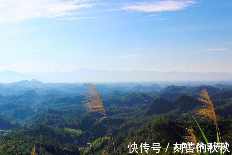 佳节|王维这首诗太经典, 影响了一代又一代人!