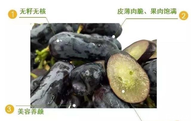 此树冻不死,插土就活,庭院种2棵,明年结果200斤全家吃不完