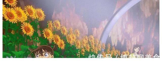 业火|名侦探柯南：业火的向日葵即将在CCTV6播出，为什么偏是这一部