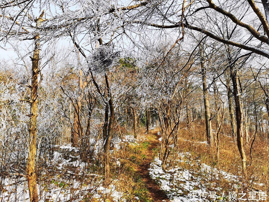 黄泥浆岗|宁波第二高峰，雪国风光，雾凇奇观