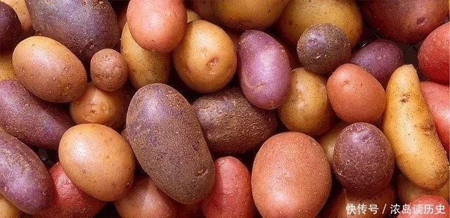 每天吃个它,胜吃10个苹果!护血管、降三高…很多人不知道!