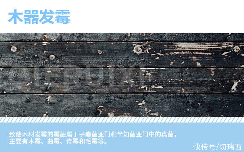 泡水|实木家具泡水后发霉如何修复?