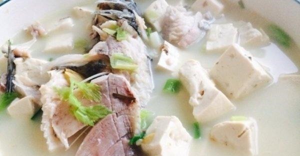 智力|孩子多吃鱼虽有益,但这4种鱼最好少给孩子吃,可能对身体有损害!