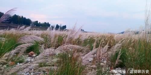 农谚:“秋分有雨来年丰”,你觉得有道理吗?