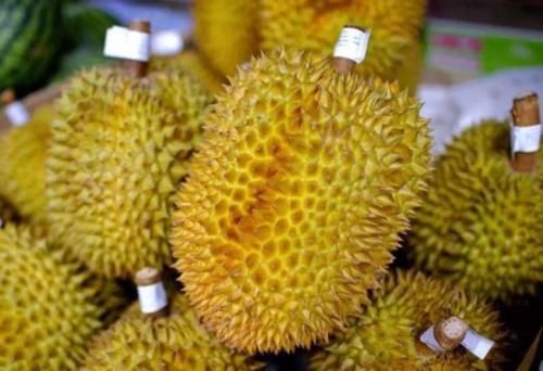 紊乱|吃一口胜过8斤梨，甲乳科医生：坚持吃，甲状腺结节一天天变小