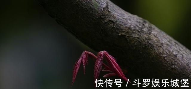 幸福|旧情难舍，痴心不改，旧爱不离，再次牵手，幸福永续