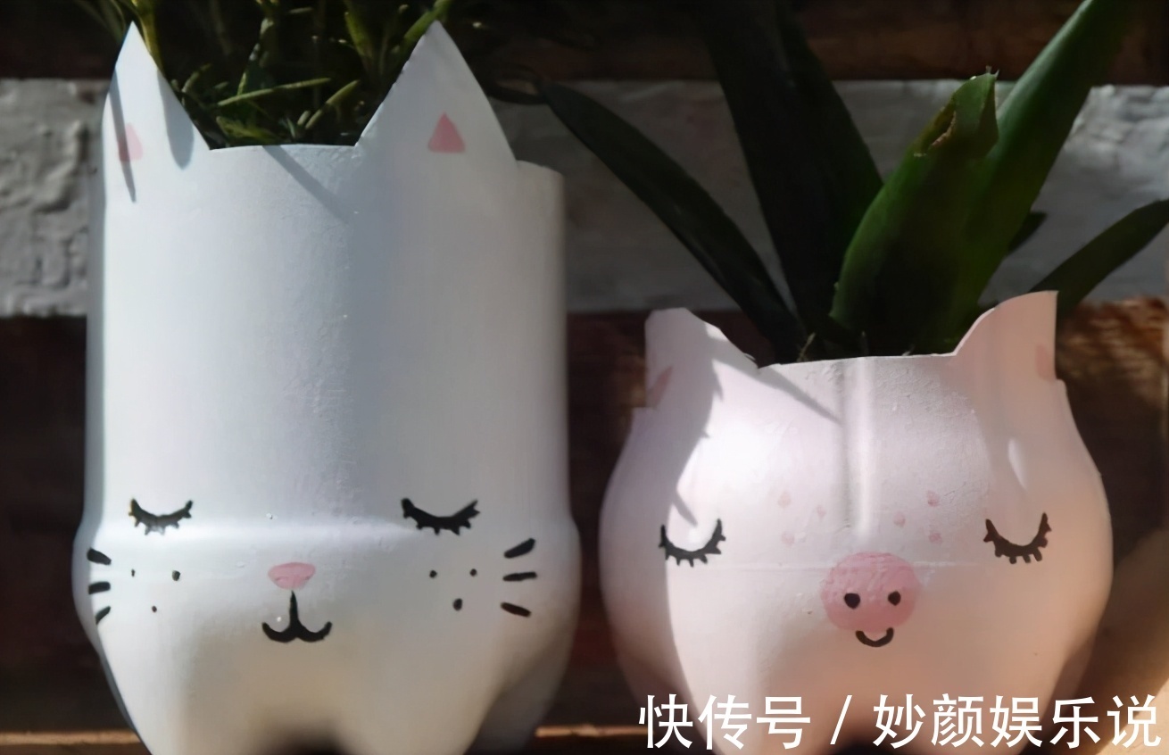 扦插植物,缺少更多花盆?将它们改造成容器,好用好看又省钱