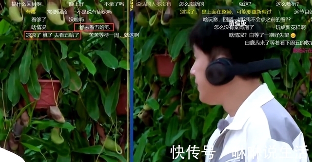 《奔跑吧黄河2》第五期消失?观众刷屏吐槽,停播原因曝光获原谅