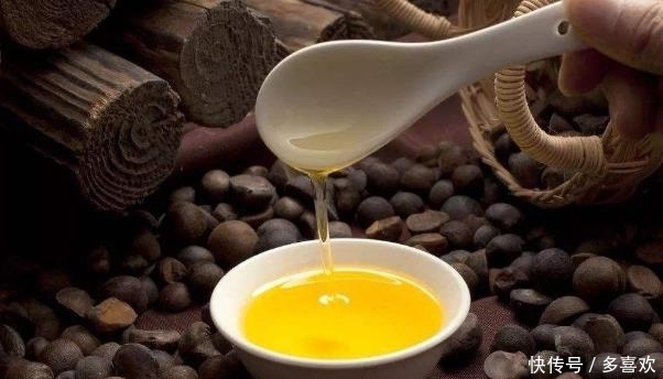 发育|想要小孩更聪明?不妨常吃这种“油”,健脑又补脑,增强智力发育