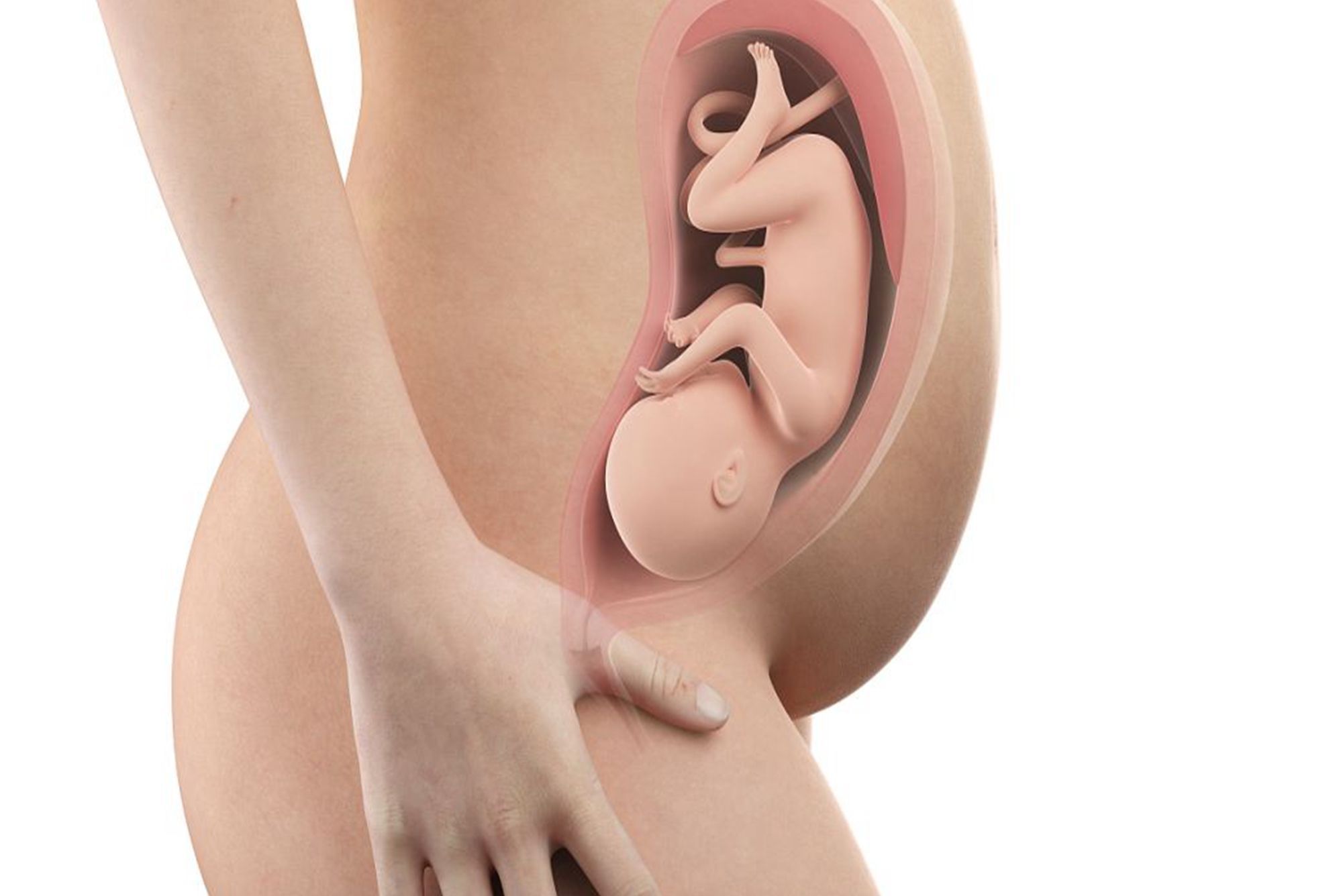 孕妈|怀孕别天天吃葡萄了,孕期水果“三吃三不吃”,准妈妈别错过