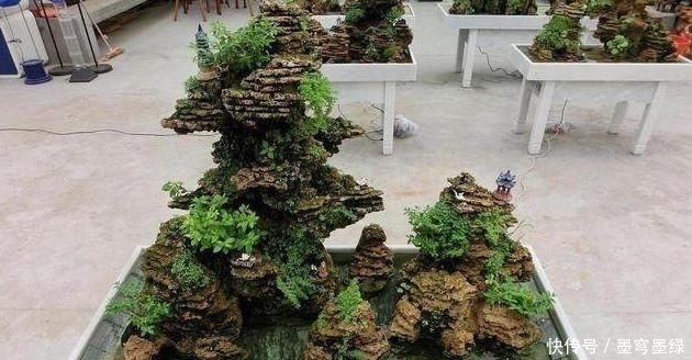 马铃薯汁|盆景教学山水盆景中最难的是点苔，教你如何快速上苔
