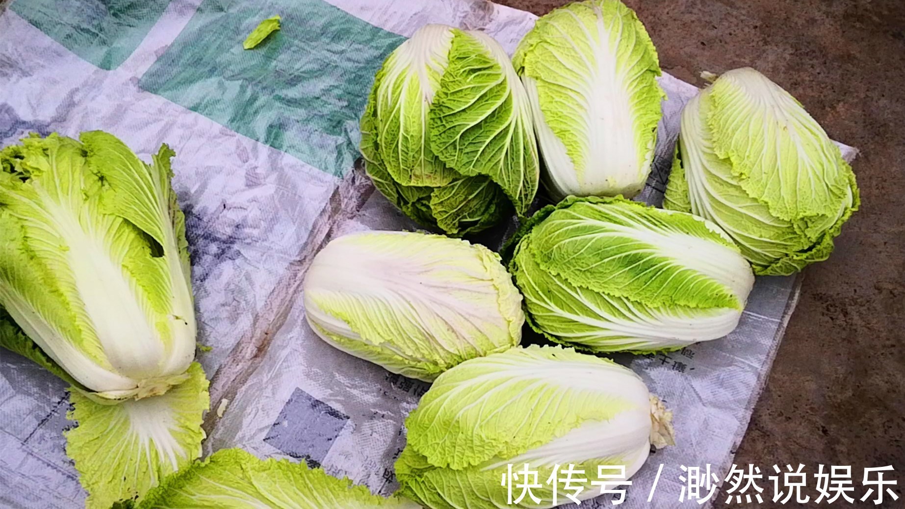 不管是保存萝卜还是白菜，学会此方法，放一冬天都新鲜，特方便！