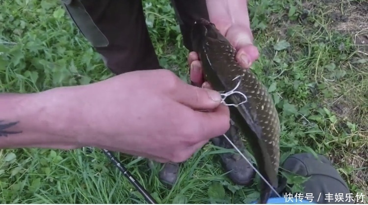 男子用鲫鱼当诱饵，被朋友们嘲笑，最后钓到的鱼让朋友们闭了嘴