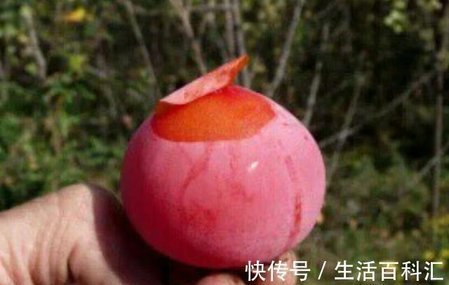 老太|女性最好的零食，不想老太快秋后多吃，补血活血，健康好气色