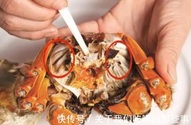死蟹|挑梭子蟹，个头大未必好，渔民教你4招，个个肉多黄肥，鲜美好吃