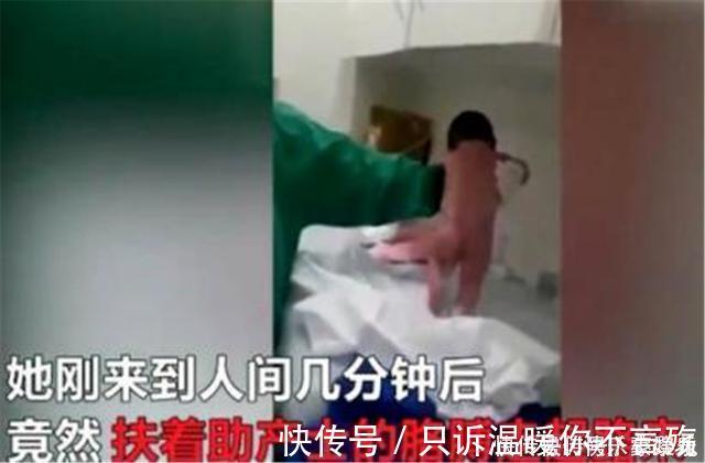 走红|“最强新生儿”走红,脐带还没剪就“跑了”,助产士现场笑翻了