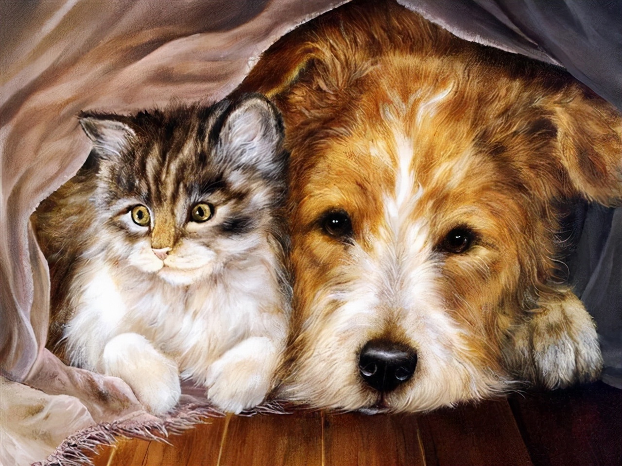 LUCIE@艺术家 LUCIE BILODEAU 画笔下的猫咪系列油画精致的实在太可爱了