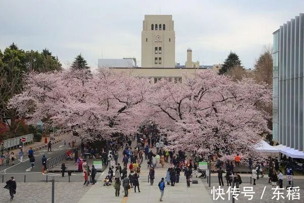 东北大学|关于旧帝大，你一定要知道的事